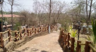TASGAONKAR BLOSSOM PVT LTD