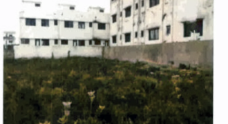 Krishnarjun Agro Industries
