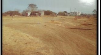 Krishnarjun Agro Industries