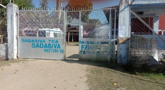 SADASIVA TEA CO PVT LTD
