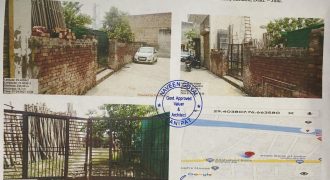 Ms Kissan Breeding farm