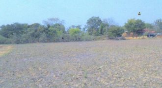 RAJESH KUMAR SHARAM