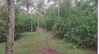 CHANIYIL ELECTRICALS , PROPRIETOR CHANDRAN A L
