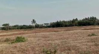 VKN LAKSHMI AGRO FOODS PVT LTD