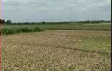 PLOT AT BARUIPUR, DIST – SOUTH 24 PGS, STATE-WEST BENGAL