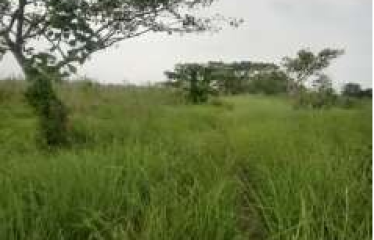 PLOT BISHNUPUR, SOUTH 24 PARGANAS, UNDER PURBA BISHNUPUR GRAM PANCHAYET