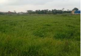 PLOT BISHNUPUR, SOUTH 24 PARGANAS, UNDER PURBA BISHNUPUR GRAM PANCHAYET