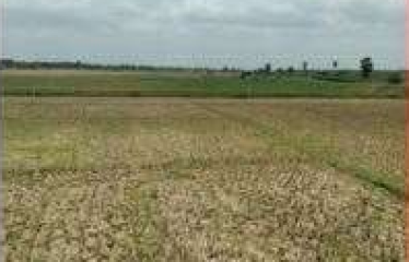 PLOT AT BARUIPUR, DIST – SOUTH 24 PGS, STATE-WEST BENGAL