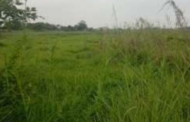 PLOT BISHNUPUR, SOUTH 24 PARGANAS, UNDER PURBA BISHNUPUR GRAM PANCHAYET