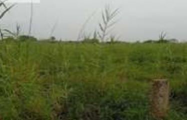 PLOT AT BISHNUPUR, SOUTH 24 PARGANAS , UNDER PURBA BISHNUPUR GRAM PANCHAYET