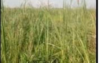 PLOT AT BISHNUPUR, DIST -SOUTH 24PGS, STATE-WEST BENGAL