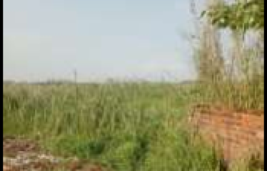 PLOT – BISHNUPUR, DIST: SOUTH 24PGS, STATE-WEST BENGAL