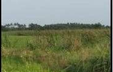 PLOT AT BISHNUPUR, DIST – SOUTH 24 PGS, STATE-WEST BENGAL