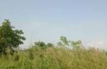 PLOT AT BISHNUPUR, DIST -SOUTH 24PGS, STATE-WEST BENGAL