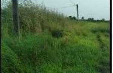 PLOT AT BISHNUPUR, DIST – SOUTH 24 PGS, STATE-WEST BENGAL