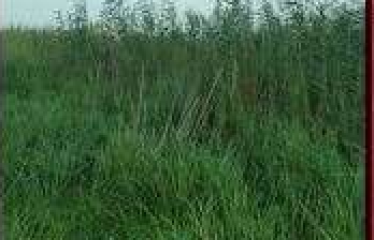 PLOT AT BISHNUPUR, DIST – SOUTH 24 PGS, STATE-WEST BENGAL