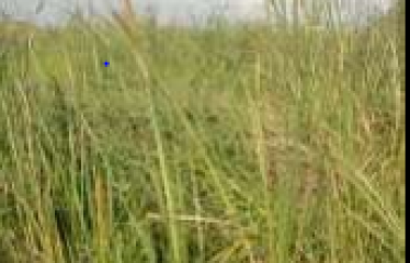 PLOT AT BISHNUPUR, DIST -SOUTH 24PGS, STATE-WEST BENGAL