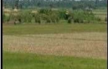 PLOT AT BARUIPUR, DIST:-SOUTH 24 PGS, STATE-WEST BENGAL