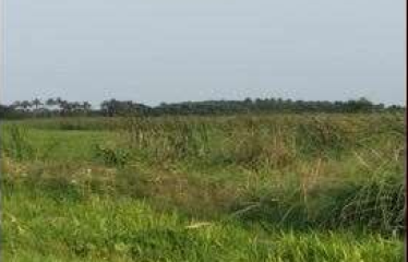 PLOT AT BISHNUPUR, DIST – SOUTH 24 PGS, STATE-WEST BENGAL