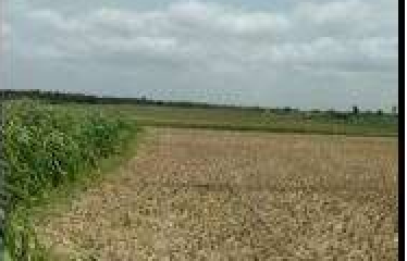 PLOT AT BARUIPUR, DIST:-SOUTH 24 PGS, STATE-WEST BENGAL