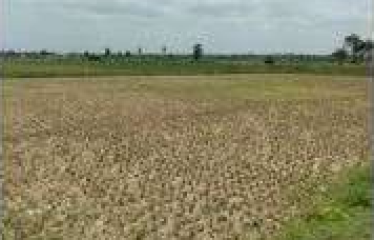 PLOT AT BARUIPUR, DIST:-SOUTH 24 PGS, STATE-WEST BENGAL