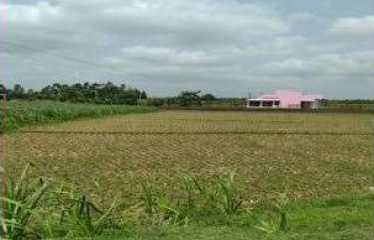 PLOT AT BARUIPUR, DIST:-SOUTH 24 PGS, STATE-WEST BENGAL