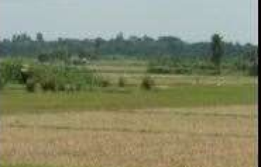 PLOT AT BARUIPUR, DIST:-SOUTH 24 PGS, STATE-WEST BENGAL
