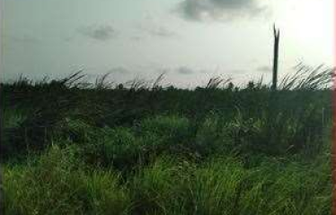 PLOT AT BISHNUPUR, DIST – SOUTH 24PGS, STATE-WEST BENGAL