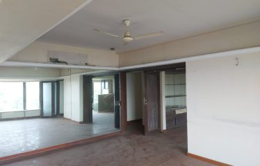 Flat for sale in worli