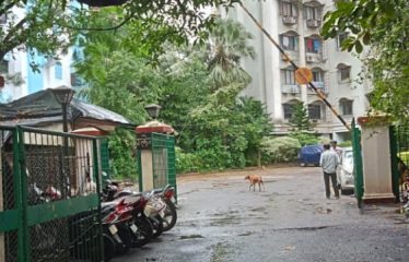 SHRI SAI BALAJI COMMUNICATION