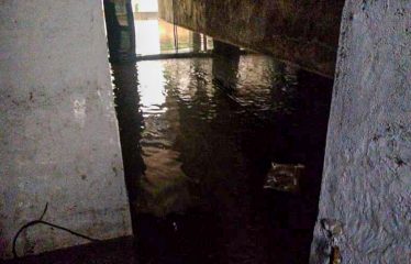 Green Shield Enterprises