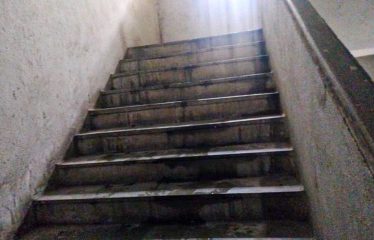 Green Shield Enterprises