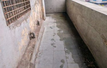 Green Shield Enterprises