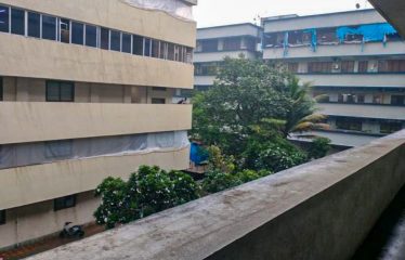 Green Shield Enterprises