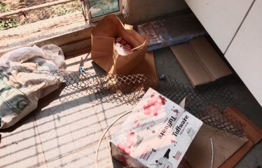 RAJVEER DHANARAMJI MALI