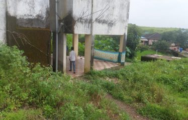 Vaishali Dinesh Dole