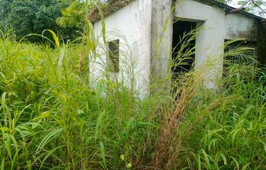 Shree Krishna Ingots Bilosh india pvt.ltd