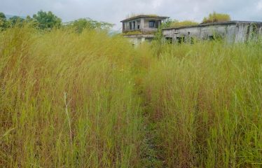 Shree Krishna Ingots Bilosh india pvt.ltd