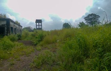 Shree Krishna Ingots Bilosh india pvt.ltd