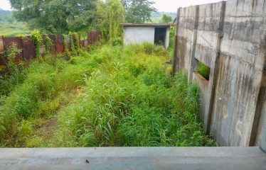 Shree Krishna Ingots Bilosh india pvt.ltd