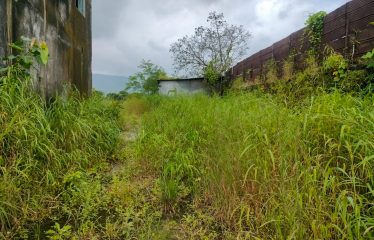 Shree Krishna Ingots Bilosh india pvt.ltd