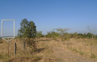 Chintamani Exports Private Limited