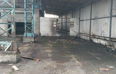 Green Earth recycling Company