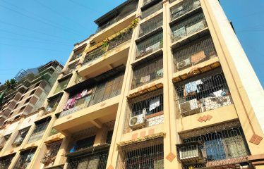 New Wonder Collection