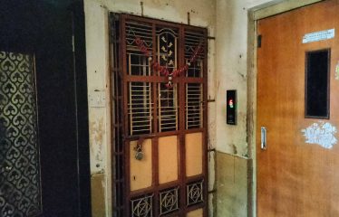 New Wonder Collection