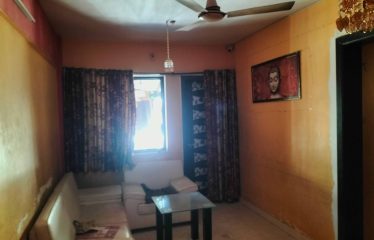 New Wonder Collection