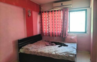 New Wonder Collection