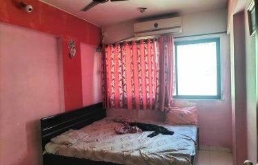 New Wonder Collection