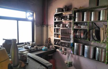 New Wonder Collection