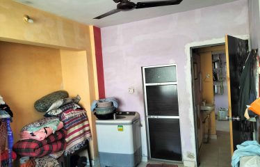 New Wonder Collection